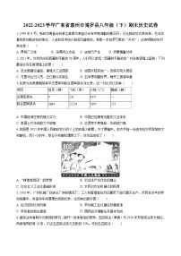 2022-2023学年广东省惠州市博罗县八年级（下）期末历史试卷(含答案解析)