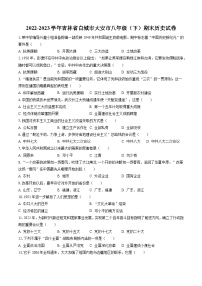 2022-2023学年吉林省白城市大安市八年级（下）期末历史试卷(含答案解析)