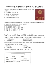 2022-2023学年山东省枣庄市山亭区八年级（下）期末历史试卷(含答案解析)