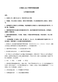 2023年广东省梅州市大埔县中考一模历史试题