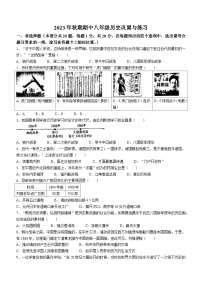 河南省南阳市内乡县2023-2024学年八年级上学期11月期中历史试题