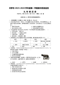 湖南省岳阳市汨罗市2023-2024学年九年级上学期期中考试历史试题