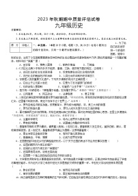 河南省南阳市淅川县2023-2024学年九年级上学期期中考试历史试题（含答案）