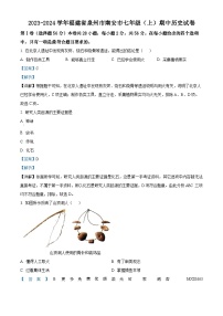 福建省泉州市南安市2023-2024学年七年级上学期期中历史试卷（解析版）