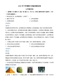 湖南省娄底市涟源市2023-2024学年九年级上学期11月期中历史试题（解析版）