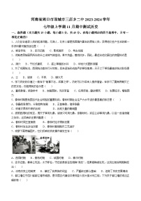 河南省周口市项城市三店乡二中2023-2024学年部编版七年级上学期11月期中测试历史