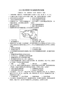 江苏省盐城市大丰区2023-2024学年九年级上学期期中历史试题