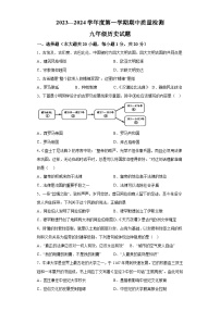 山东省菏泽市单县2023-2024学年九年级上学期11月期中历史试题（含解析）