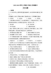 山东省德州市齐河县第三中学2023-2024学年上学期八年级期中历史试题（含解析）