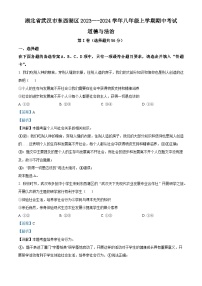 湖北省武汉市东西湖区2023—-2024学年八年级上学期期中考试道德与法治历史试题 （解析版）