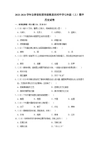 吉林省松原市前郭县农村中学2023-2024学年部编版七年级上学期期中历史试卷（含解析）