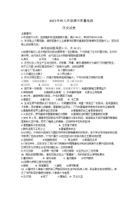 河南省商丘市柘城县2023-2024学年九年级上学期11月期中历史试题(含答案)