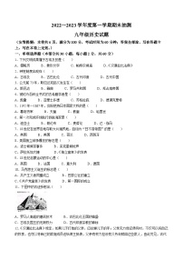 河南省许昌市鄢陵县2022-2023学年九年级上学期期末历史试题(无答案)