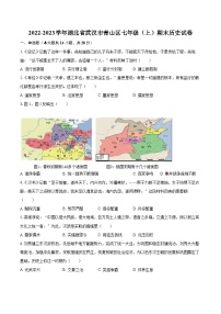 2022-2023学年湖北省武汉市青山区七年级（上）期末历史试卷（含答案解析）