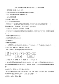 河北省唐山市丰润区2023-2024学年部编版七年级上学期期中历史试卷（含答案）