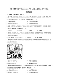河南省南阳市镇平县2023-2024学年七年级上学期12月月考历史模拟试题（含答案）