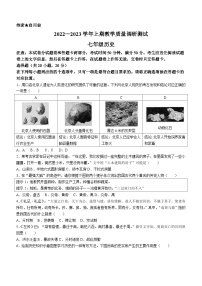 河南省鹤壁市部分学校联考2022-2023学年七年级上学期期末历史试题（含答案）