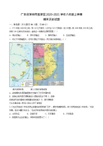 广东省深圳市宝安区2020-2021学年部编版八年级上学期期末历史试题