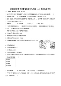 2022-2023学年安徽省芜湖市八年级（上）期末历史试卷（含答案解析）