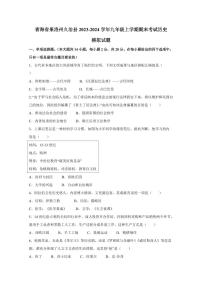 青海省果洛州久治县2023-2024学年九年级上学期期末考试历史模拟试题（含答案）