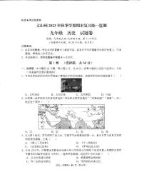 云南省文山壮族苗族自治州2023-2024学年九年级上学期期末历史试题