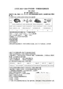 北京市大兴区2023--2024学年九年级上学期期末历史试题