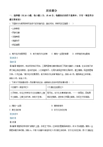 江西省宜春市高安市2022-2023学年七年级下学期期中历史试题（解析版）