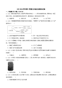 甘肃省武威市凉州区和平镇教研联片考试2023-2024学年九年级上学期期末历史试题