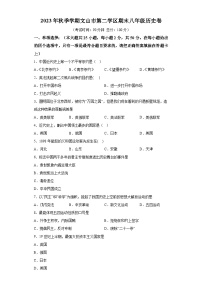 云南省文山州文山市第二学区2023-2024学年八年级上学期期末历史试题（含解析）