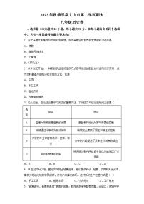 云南省文山州文山市第二学区2023-2024学年上学期期末九年级历史试题（含解析）