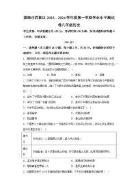 甘肃省陇南市2023-2024学年八年级上学期1月期末历史试题（含解析）
