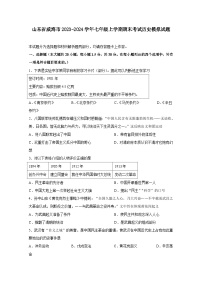 山东省威海市2023-2024学年七年级上册期末考试历史模拟试题（附答案）附答案