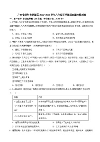 广东省深圳市罗湖区2022-2023学年八年级下学期历史期末模拟卷