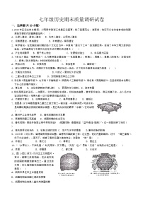 河南省信阳市平桥区2023-2024学年七年级上学期期末历史试题（含答案）