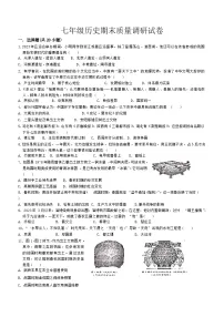 河南省信阳市平桥区2023-2024学年七年级上学期期末历史试题（含答案）