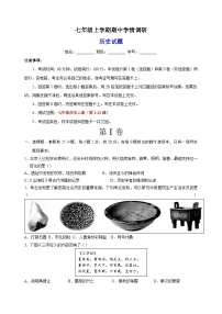 2023-2024学年人教部编版统编版七年级上学期历史期中学情调研试卷（含答案解析）