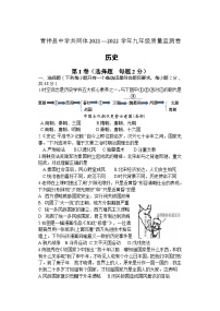 四川省眉山市青神县中学共同体2021-2022学年九年级下学期质量监测卷（期中）历史试题