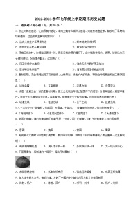 盐城市亭湖区2022-2023学年七年级上学期期末历史试题（含答案解析）