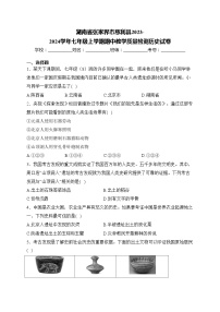 湖南省张家界市慈利县2023-2024学年七年级上学期期中教学质量检测历史试卷(含答案)