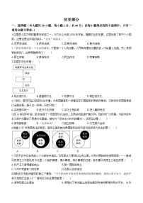 41，江西省九江市修水县第三中学2023-2024学年部编版九年级历史上学期期末测试()