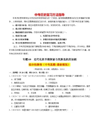 专题09 近代化的早期探索与民族危机的加剧（练习）-备战2024年中考历史一轮复习课件+讲义（部编版）