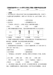 江西省丰城中学2023-2024学年七年级上学期11月期中考试历史试卷(含答案)