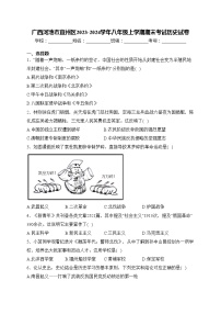 广西河池市宜州区2023-2024学年八年级上学期期末考试历史试卷(含答案)