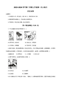 2024年河南省洛阳市伊川县九年级中考一模历史试题