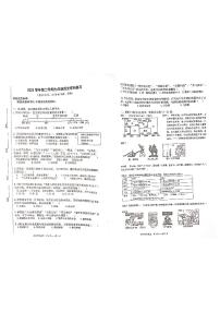 上海市姚连生中学2023-2024学年部编版七年级下学期历史期中考试卷