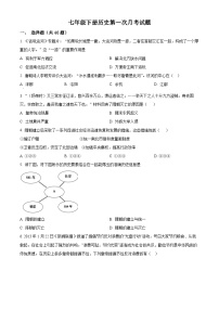 广东省紫金县紫城第二中学2023-2024学年七年级下学期第一次月考历史试题（原卷版+解析版）