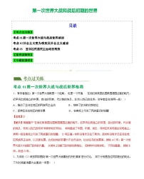 第一次世界大战和战后初期的世界-（含解析）2024届初中中考二轮历史专题复习（统编版）