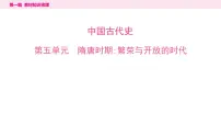 2024年中考历史一轮复习课件---中国古代史5隋唐时期：繁荣与开放的时代