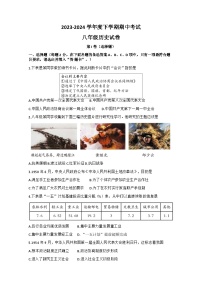 湖北省武汉市东西湖区2023-2024学年部编版八年级下学期期中历史试卷