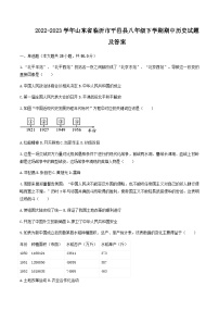 2022-2023学年山东省临沂市平邑县八年级下学期期中历史试题及答案